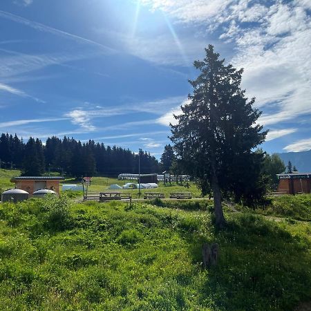 Chamrousse Appart 8 Personnes Au Pied Des Pistes Eksteriør billede