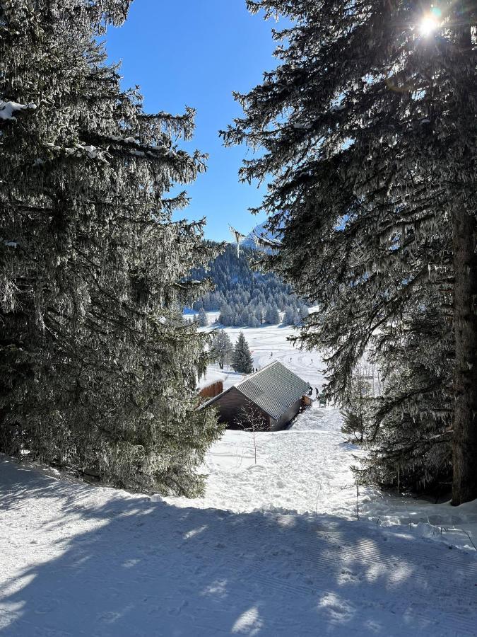 Chamrousse Appart 8 Personnes Au Pied Des Pistes Eksteriør billede