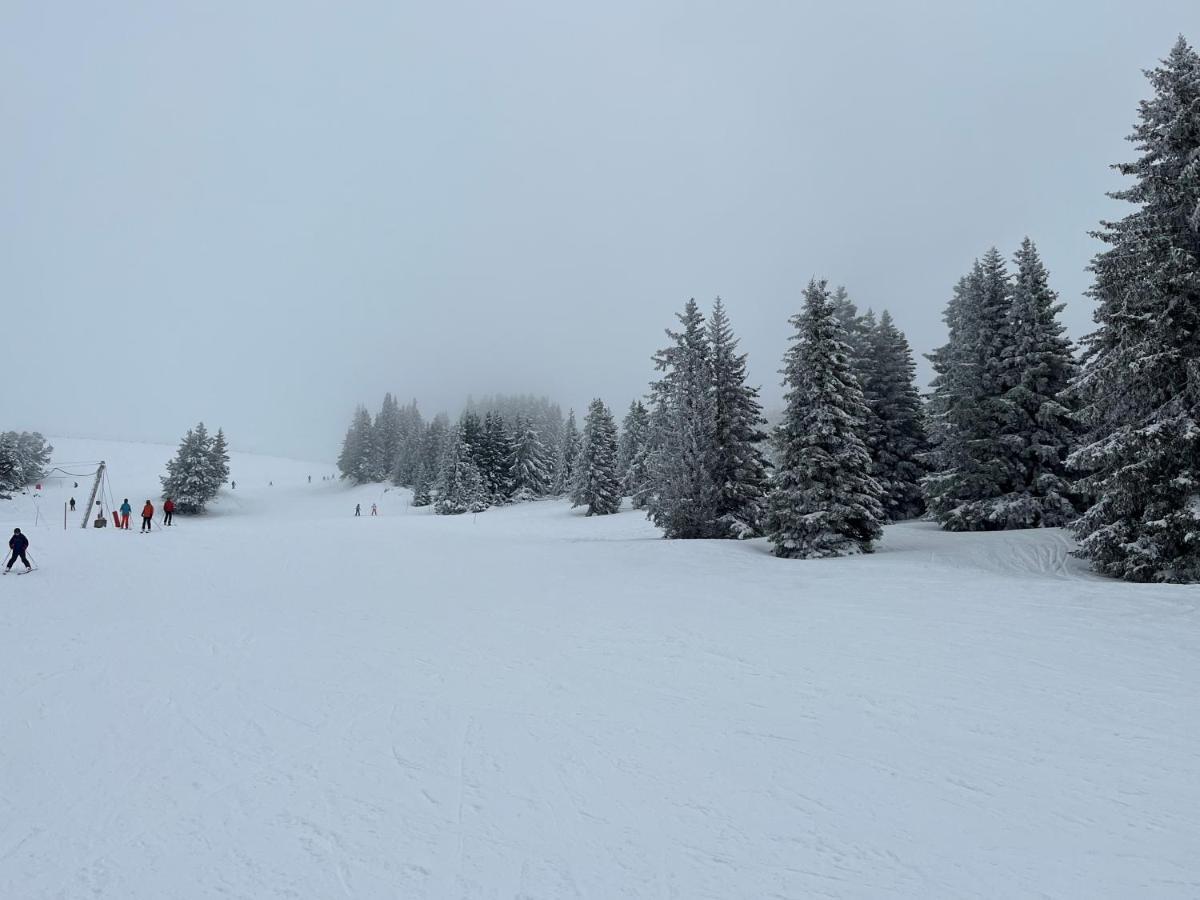 Chamrousse Appart 8 Personnes Au Pied Des Pistes Eksteriør billede