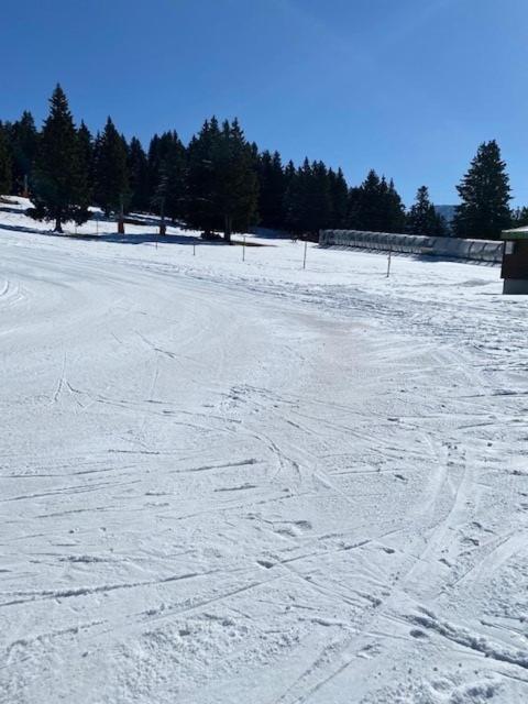 Chamrousse Appart 8 Personnes Au Pied Des Pistes Eksteriør billede