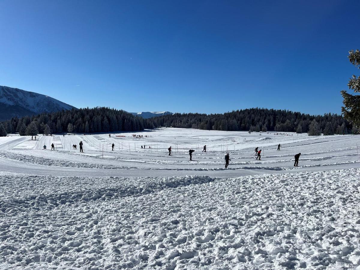 Chamrousse Appart 8 Personnes Au Pied Des Pistes Eksteriør billede