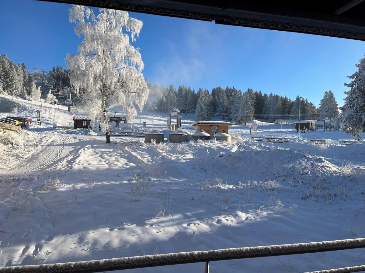 Chamrousse Appart 8 Personnes Au Pied Des Pistes Eksteriør billede
